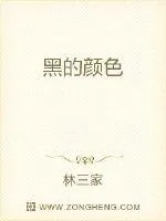 《黑的颜色》小说封面