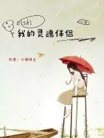 《我的灵魂伴侣》小说封面