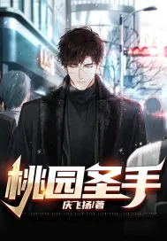 《桃园圣手》小说封面
