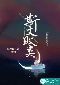 《斯文败类》小说封面