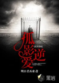 《孤影逆爱》小说封面
