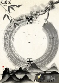 《殒天——风雨篇》小说封面
