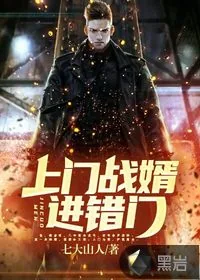 《上门战婿进错门》小说封面
