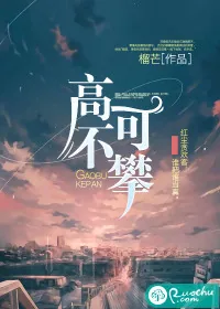 《高不可攀》小说封面