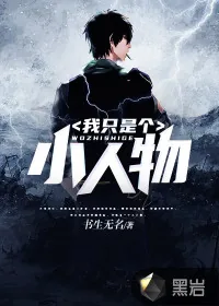 《我只是个小人物》小说封面