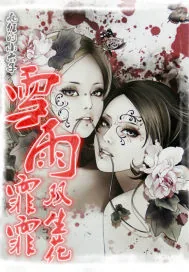 《雪雨霏霏双生花》小说封面