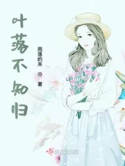 《叶落不知归》小说封面