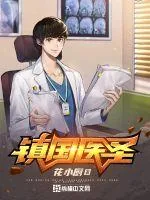 《镇国医圣》小说封面