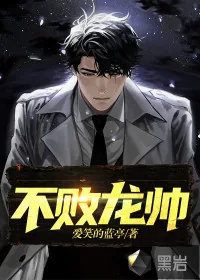 《不败龙帅》小说封面