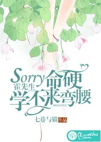 《sorry霍先生，命硬学不来弯腰》小说封面