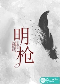 《明枪》小说封面