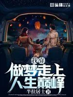 《我靠做梦走上人生巅峰》小说封面