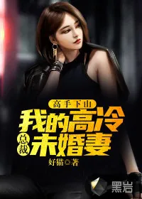 《高手下山：我的高冷总裁未婚妻》小说封面
