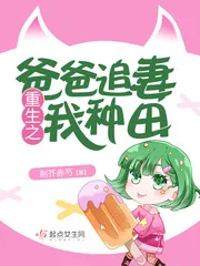 《重生之爸爸追妻我种田》小说封面