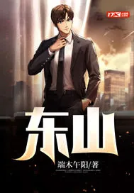 《东山》小说封面