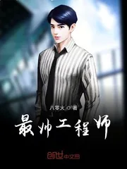 《最帅工程师》小说封面