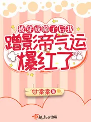 《被穿成筛子后我蹭影帝气运爆红了》小说封面