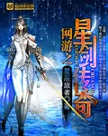 《网游之星剑传奇》小说封面