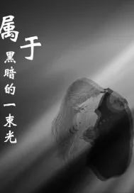 《属于黑暗的一束光》小说封面