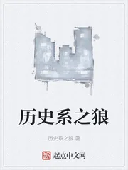 《历史系之狼》小说封面