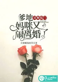 《双胞临门：爹地，妈咪又闹离婚了》小说封面