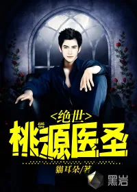 《绝世桃源医圣》小说封面