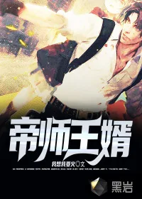 《帝师王婿》小说封面