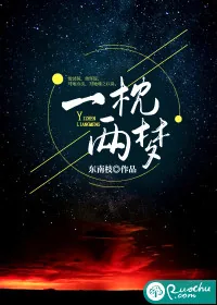《一枕两梦》小说封面
