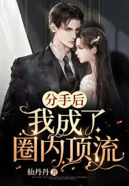《分手后我成了圈内顶流》小说封面