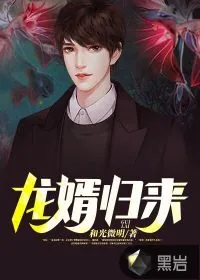 《龙婿归来》小说封面