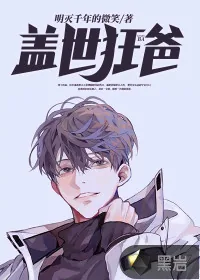 《盖世狂爸》小说封面