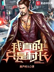 《我真的只是村长》小说封面