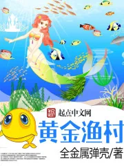 《黄金渔村》小说封面