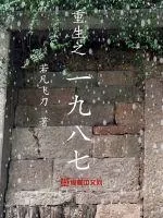 《重生之1987》小说封面