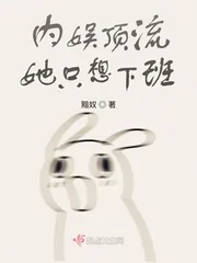 《内娱顶流她只想下班》小说封面