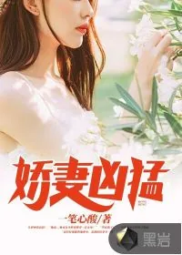《娇妻凶猛》小说封面