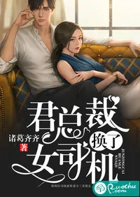 《君总裁换了女司机》小说封面