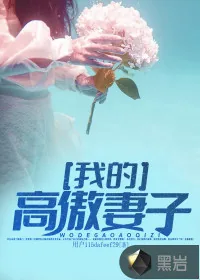 《我的高傲妻子》小说封面