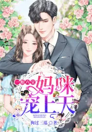 《一胎六宝妈咪宠上天》小说封面