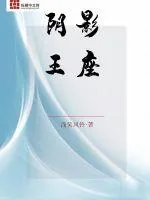 《阴影王座》小说封面
