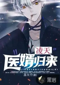 《凌天医婿归来》小说封面