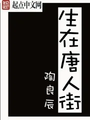 《生在唐人街》小说封面