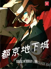 《都京地下城》小说封面