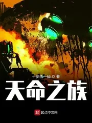 《天命之族》小说封面