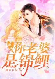 《珩爷，你老婆是锦鲤！》小说封面