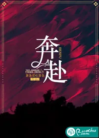《奔赴》小说封面