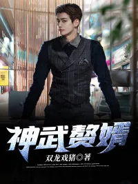 《神武赘婿》小说封面
