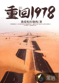 《重回1978》小说封面