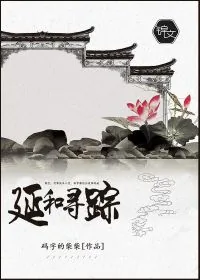 《延和寻踪》小说封面