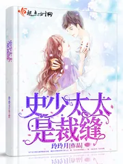 《史少太太是裁缝》小说封面